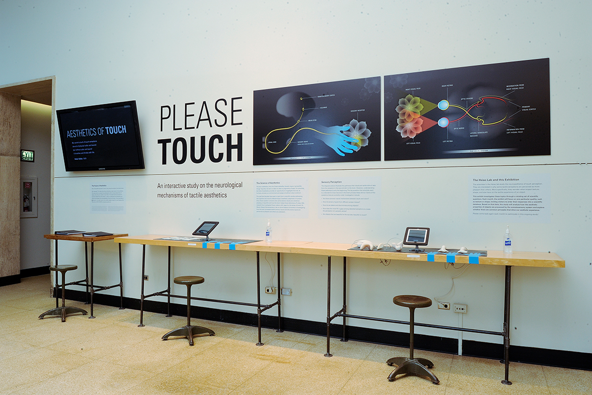 Please Touch exhibit: full view